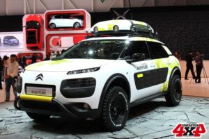 C4 Cactus Aventure