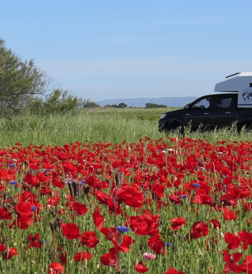 Tipi 4x4 déménage Nouvelle adresse pour votre cellule 4x4