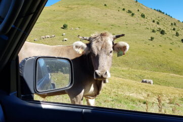 Randonnée 4x4 dans les Pyrénées Entre Andorre et Espagne