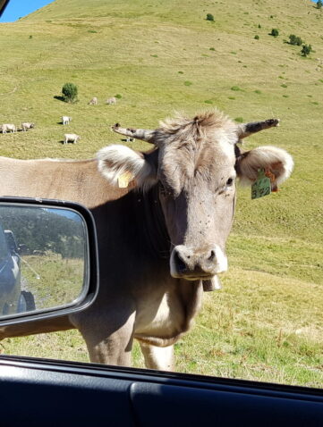 Randonnée 4x4 dans les Pyrénées Entre Andorre et Espagne