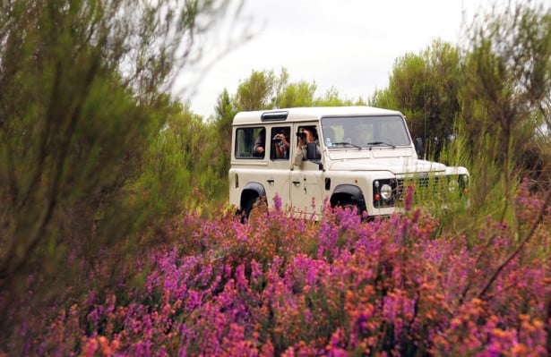 Journées des Chemins 2023 
Avec le Codever du 11 au 26 mars 2023
