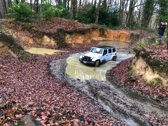 Toy’week à Forest hill