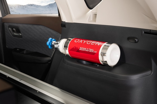 Nissan X-Trail rescue