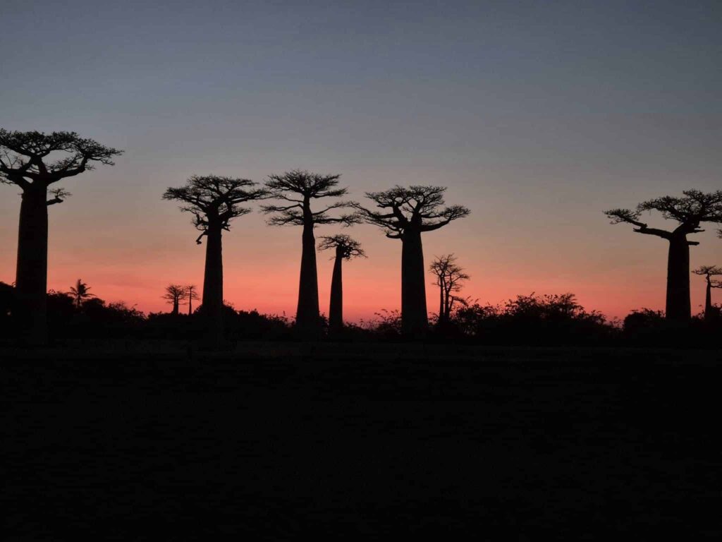 Globeatlas Aventures à Madagascar