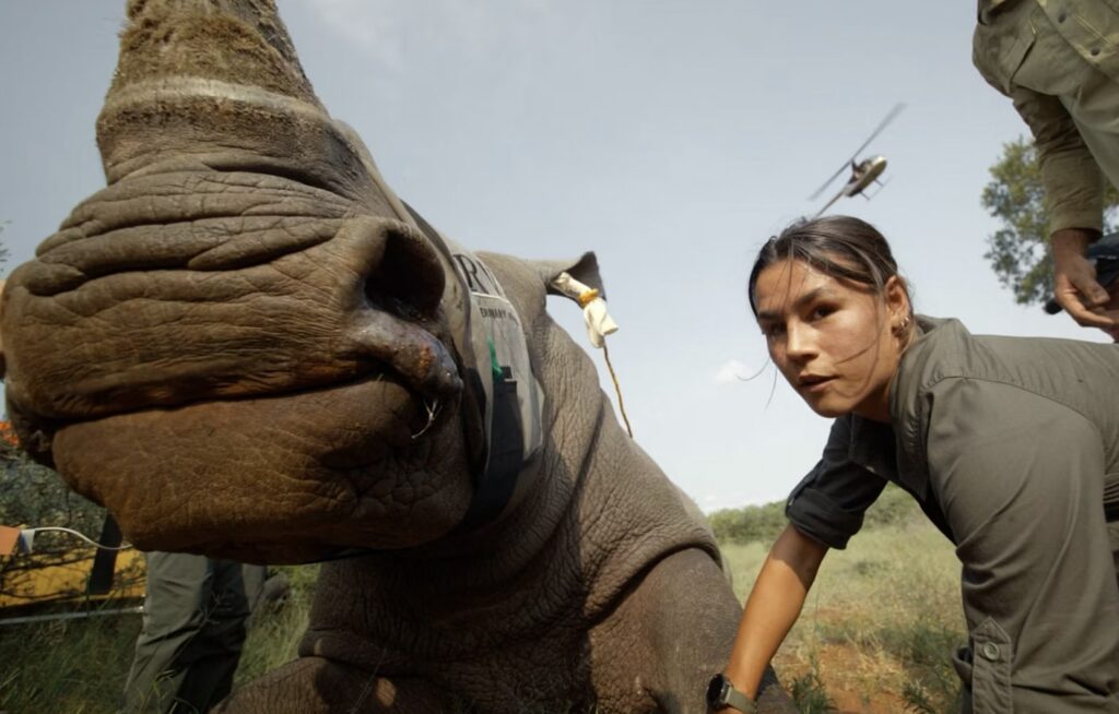 Land relance le « Trophy » !