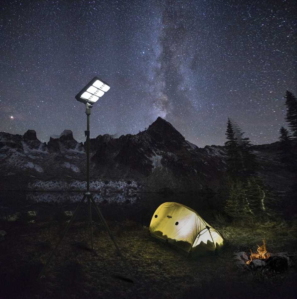 Bigfic distribue Wildland