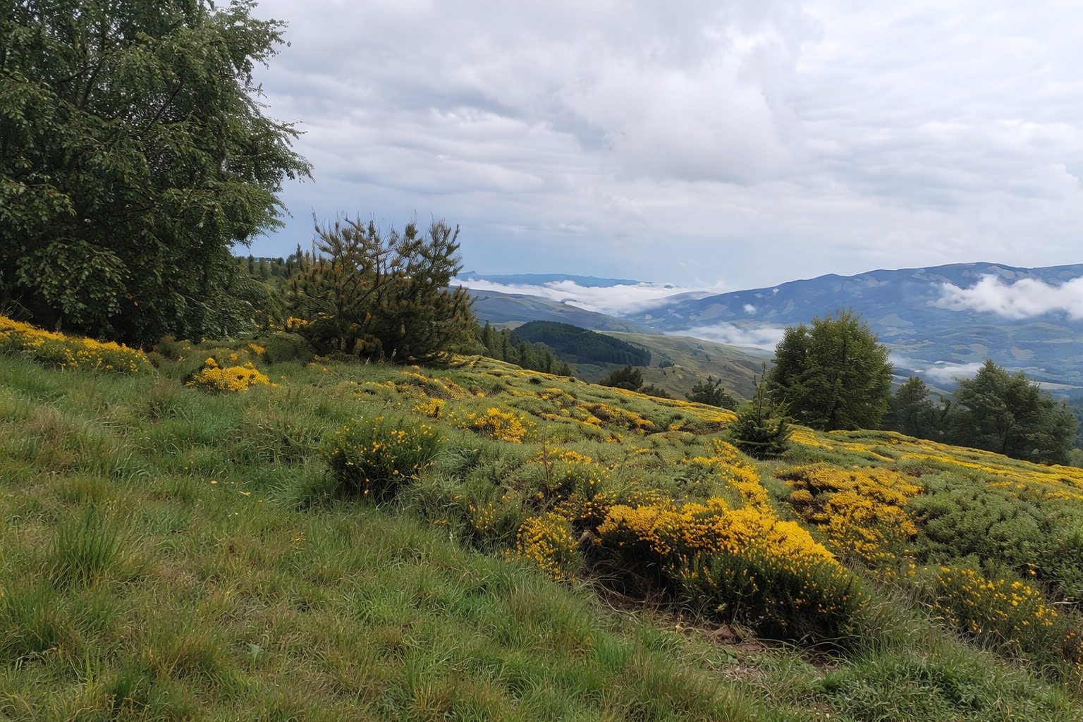plateaux et montagnes