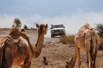 Africa Eco Race inscriptions Pour vous inscrire sur...The race to Dakar !