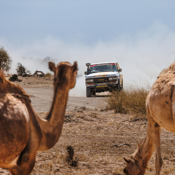 Africa Eco Race inscriptions Pour vous inscrire sur...The race to Dakar !